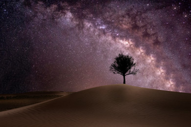 صحراء مكة المكرمة مع درب التبانة ، شجرة في وسط الصحراء مع المجرة، جمال و رونقة المعالم الطبيعة في السعودية ، اماكن سياحية 