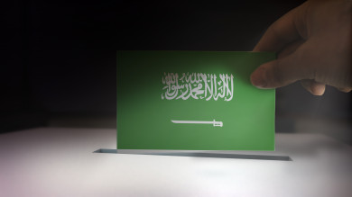 صندوق الانتخابات في المملكة العربية السعودية ، التصويت